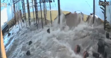 CrossFit Yellow Monkey precisa de ajuda